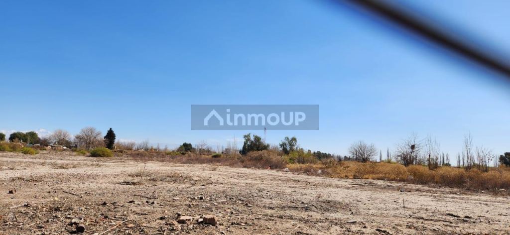 Finca en Venta en San Martin, Mendoza
