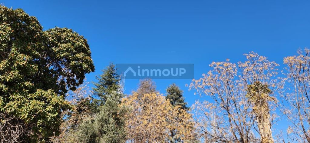 Finca en Venta en San Martin, Mendoza