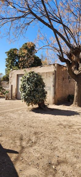 Finca en Venta en San Martin, Mendoza