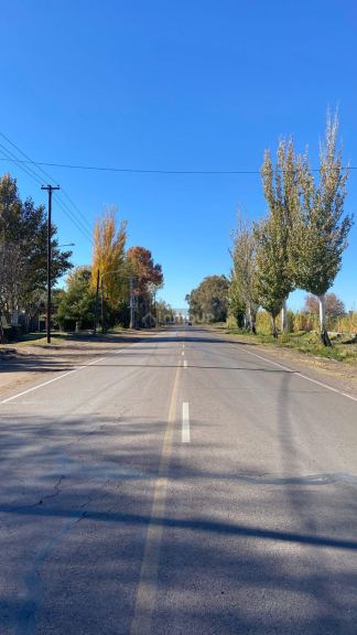 Lote en Venta en San Martin, Mendoza