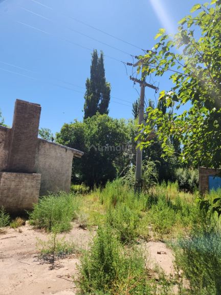 Lavalle Costa de Araujo, Lavalle, Mendoza