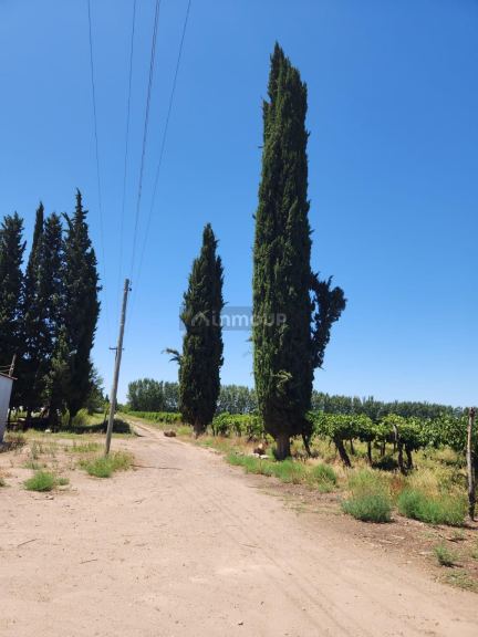 Lavalle Costa de Araujo, Lavalle, Mendoza