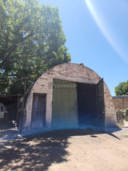 Viñedo en Venta en Lavalle, Mendoza - USD 90.000 | Inmoup - 7