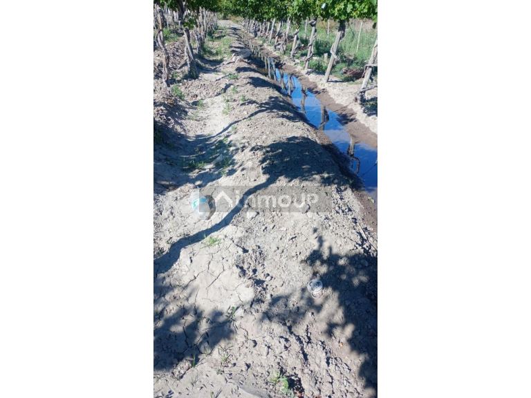 Finca en Venta en Pocito, San Juan