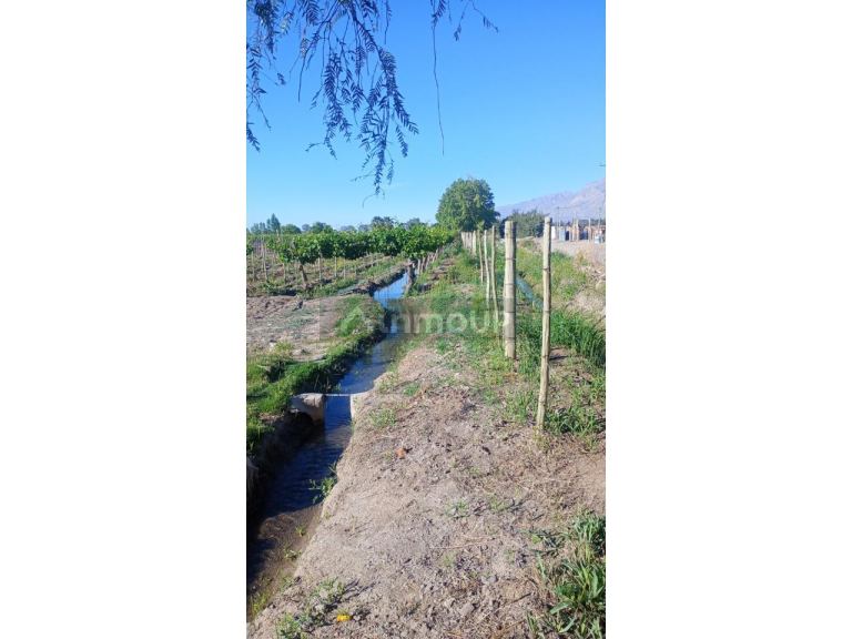 Finca en Venta en Pocito, San Juan
