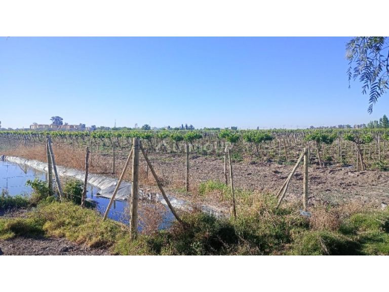 Finca en Venta en Pocito, San Juan