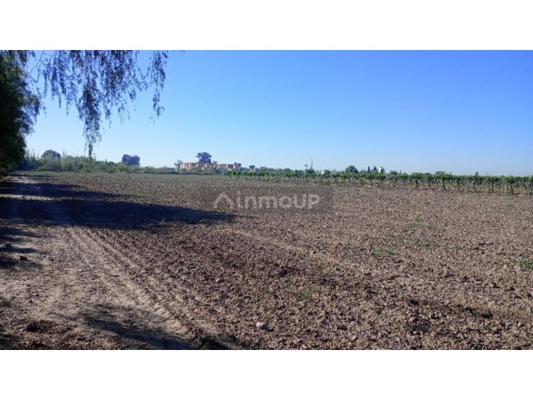 Finca en Venta en Pocito, San Juan