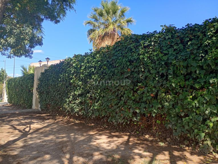 Casa en Venta en Lujan de Cuyo, Mendoza - USD 265.000 | Inmoup - 14