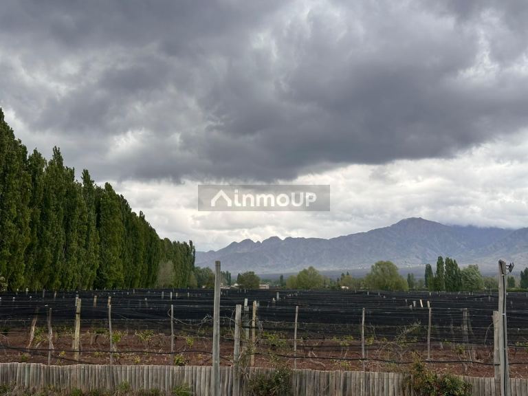 Lote en Venta en Lujan de Cuyo, Mendoza