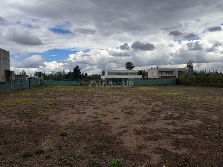 Lote en Venta en Lujan de Cuyo, Mendoza