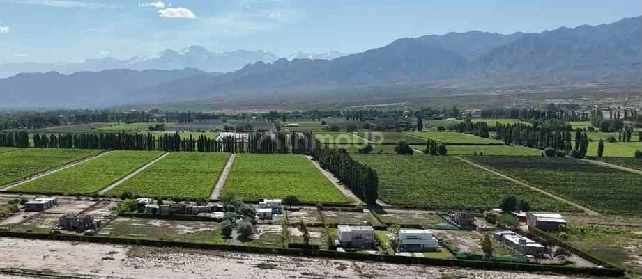 Lote en Venta en Lujan de Cuyo, Mendoza
