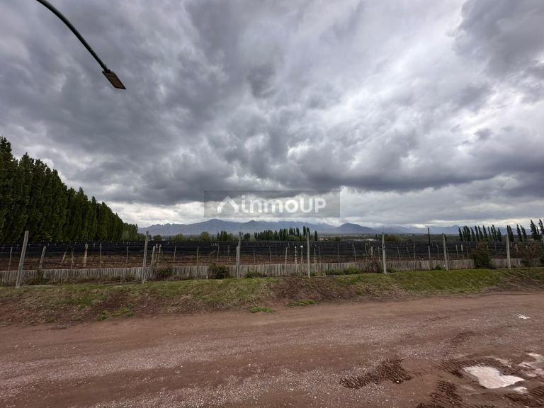 Lote en Venta en Lujan de Cuyo, Mendoza