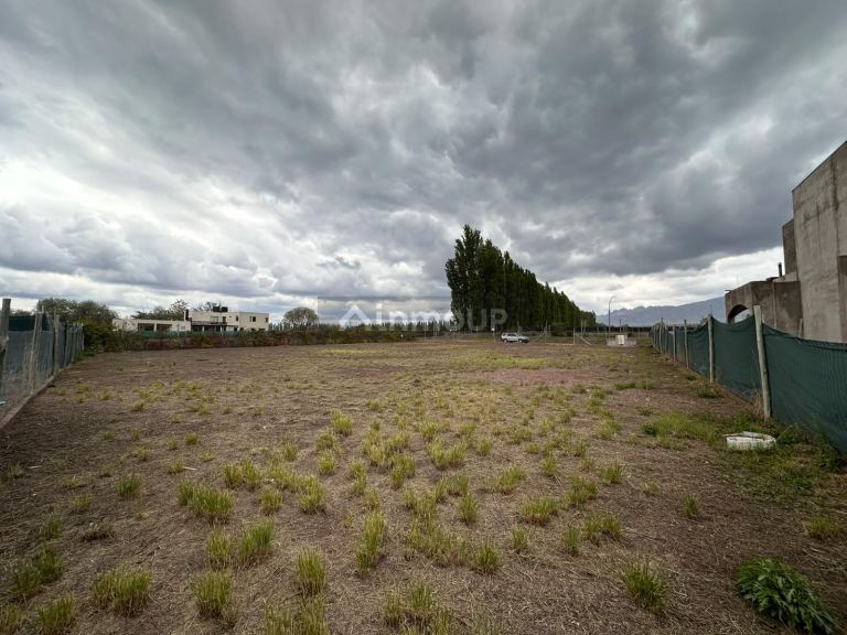 Lote en Venta en Lujan de Cuyo, Mendoza