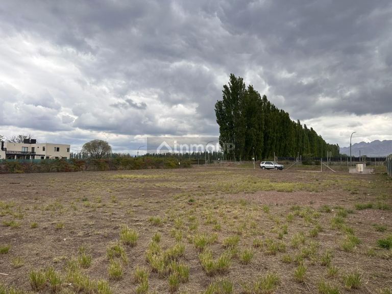 Lote en Venta en Lujan de Cuyo, Mendoza