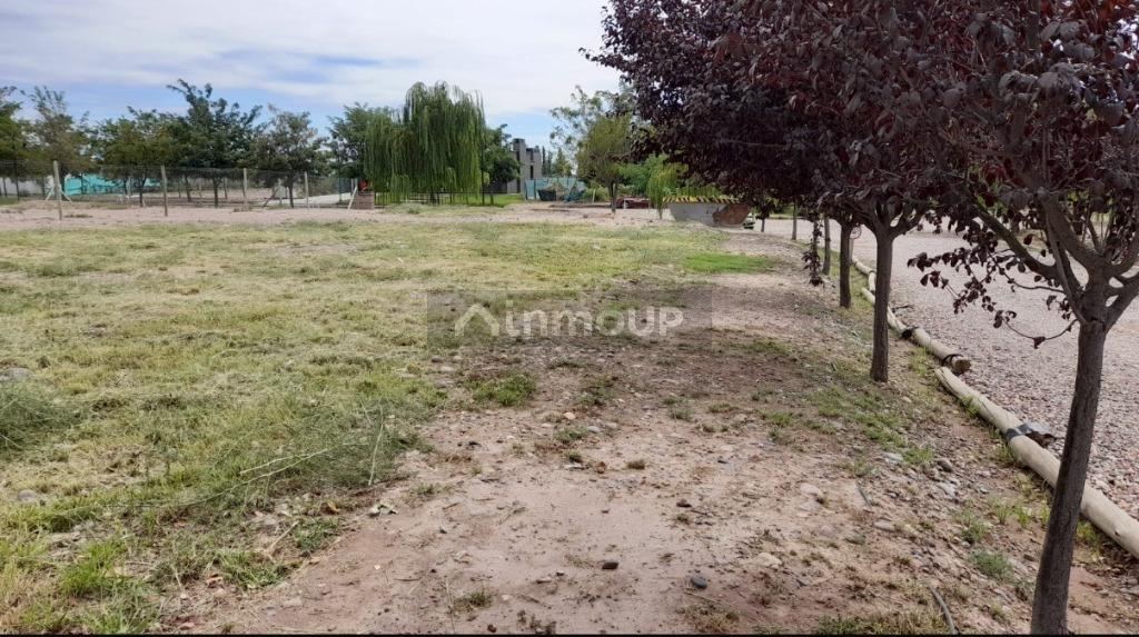 Lote en Venta en Lujan de Cuyo, Mendoza