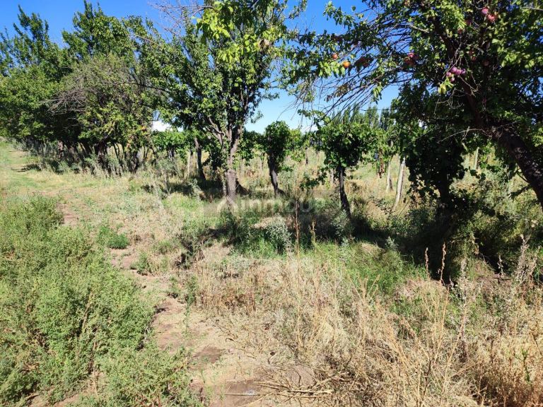 Lavalle Velazco S/N