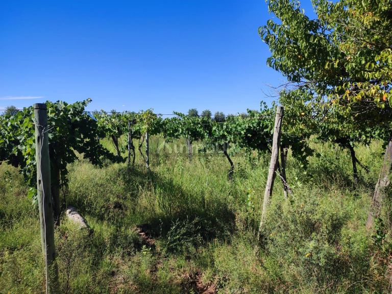 Lavalle Velazco S/N
