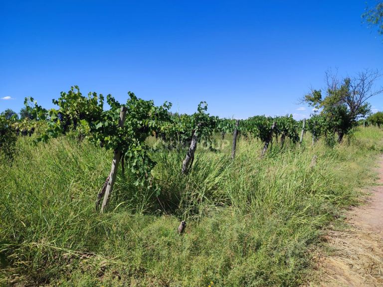 Lavalle Velazco S/N
