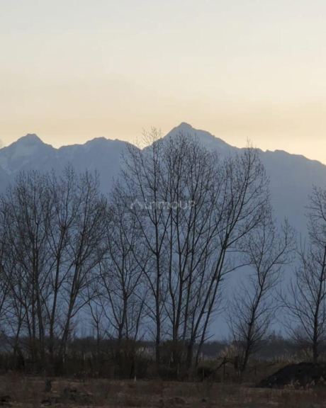 Lote en Venta en Tunuyan, Mendoza - USD 62.000 | Inmoup - 7