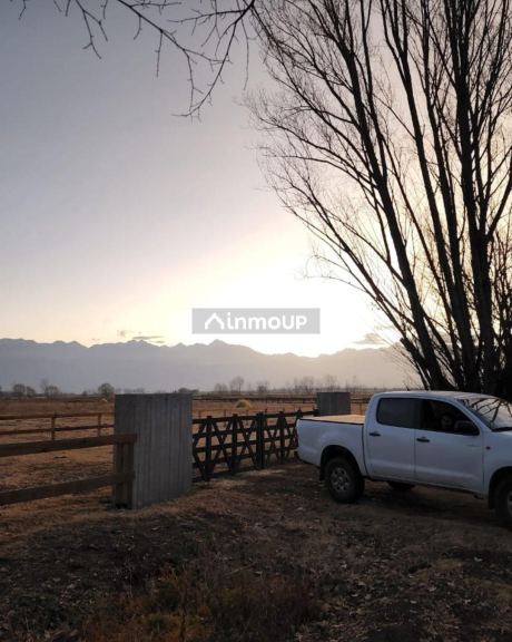 Lote en Venta en Tunuyan, Mendoza - USD 62.000 | Inmoup - 8