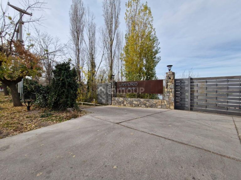 Lujan de Cuyo Lamadrid 220