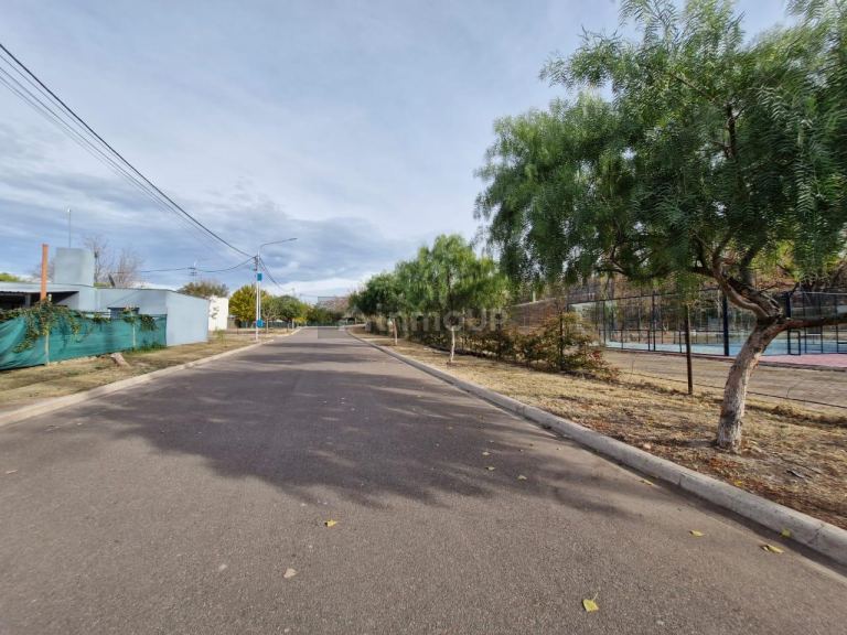 Lujan de Cuyo Lamadrid 220