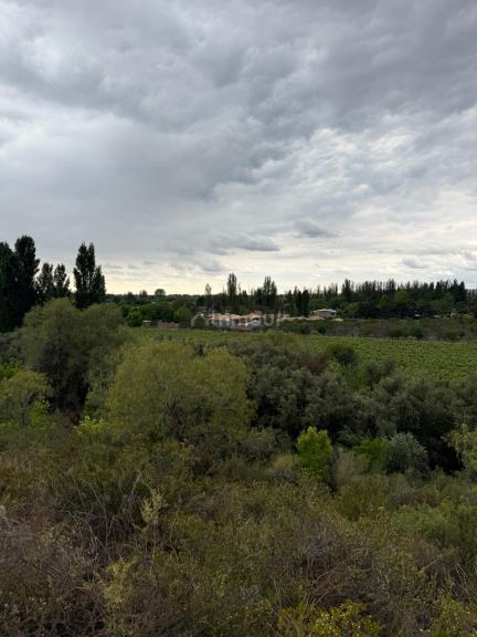 Lote en Venta en Lujan de Cuyo, Mendoza - USD 265.000 | Inmoup - 9