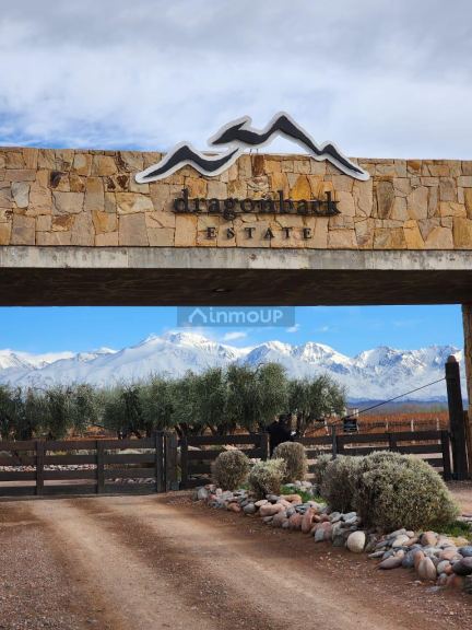 Lujan de Cuyo Alto Agrelo