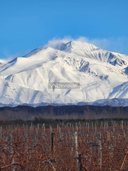 Viñedo en Venta en Lujan de Cuyo, Mendoza - USD 100.000 | Inmoup - 10