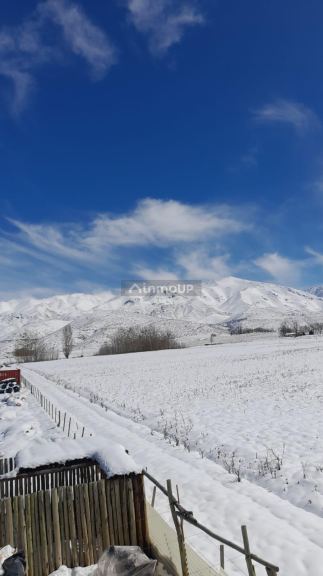 Viñedo en Venta en Lujan de Cuyo, Mendoza - USD 100.000 | Inmoup - 7