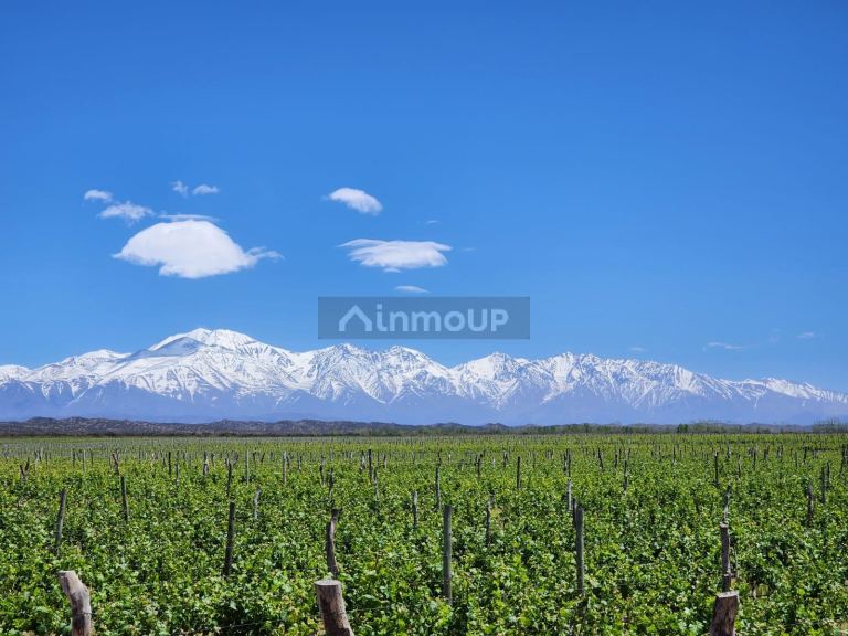 Lujan de Cuyo Alto Agrelo
