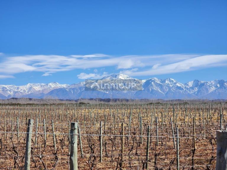 Lujan de Cuyo Alto Agrelo