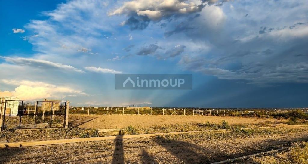 Lujan de Cuyo Pincolini las turberas  y ruta 86