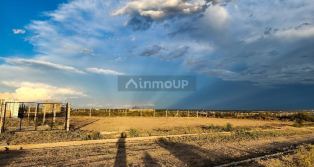 Lujan de Cuyo Pincolini las turberas  y ruta 86