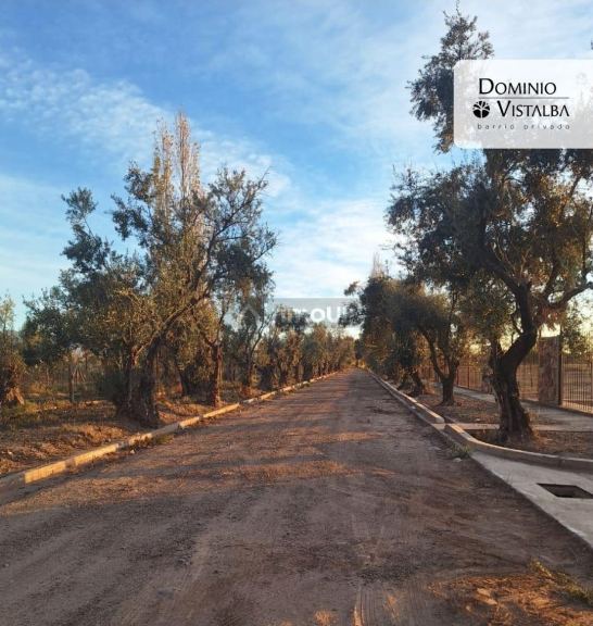 Lote en Venta en Lujan de Cuyo, Mendoza