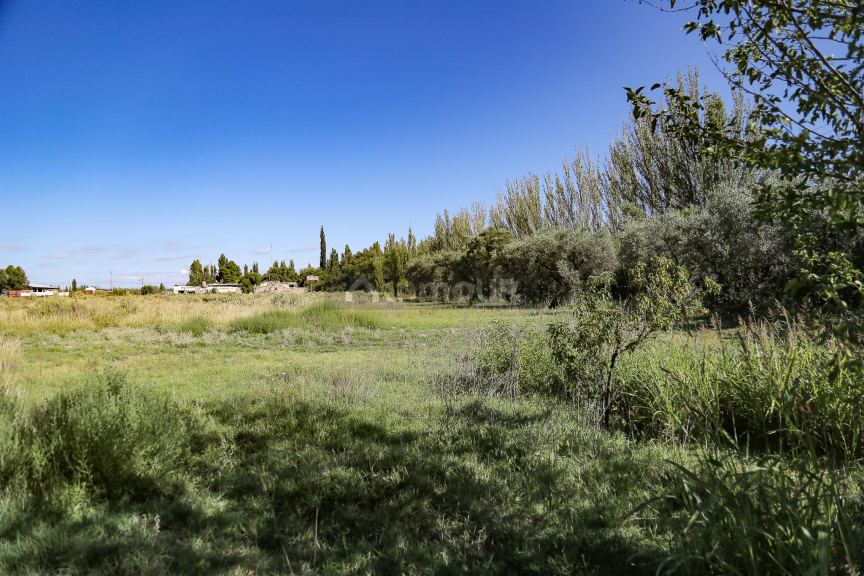 Lote en Venta en San Rafael, Mendoza