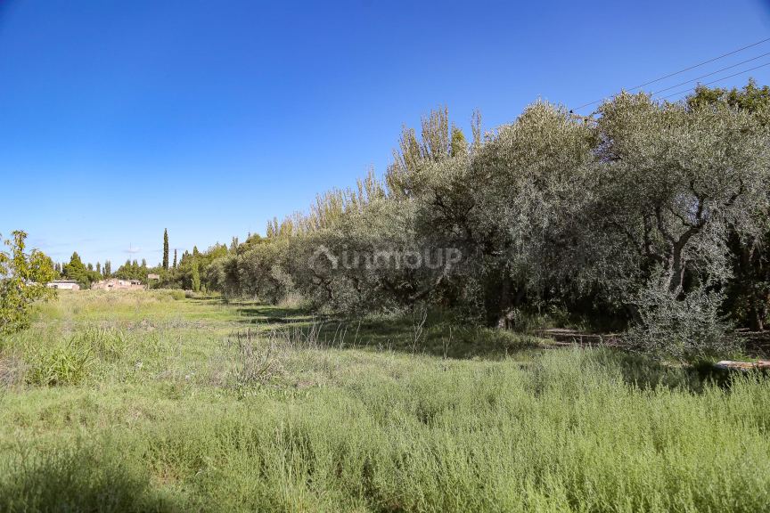 Lote en Venta en San Rafael, Mendoza