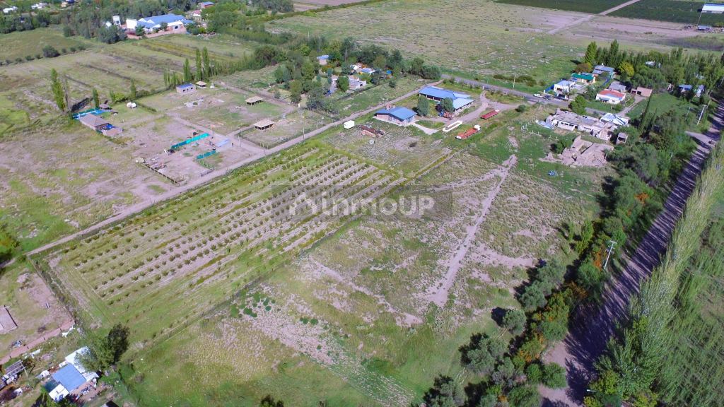 Lote en Venta en San Rafael, Mendoza