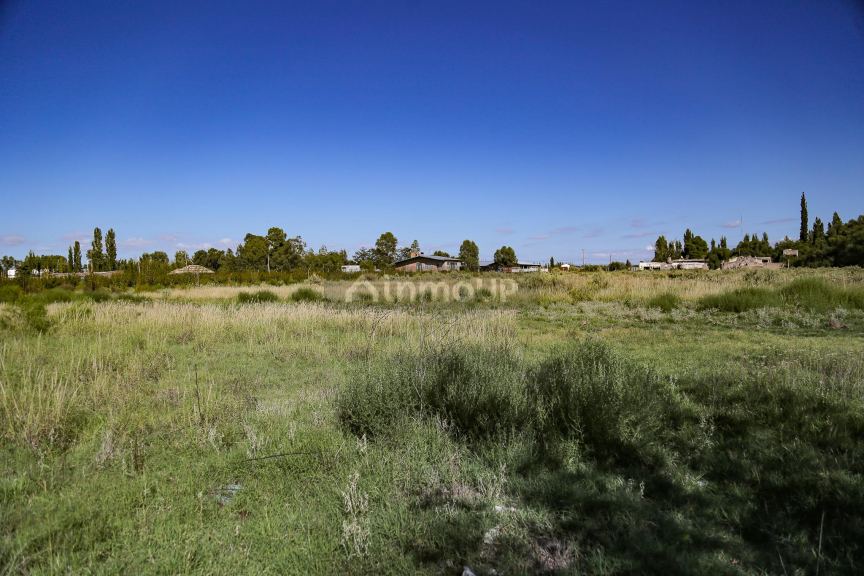 Lote en Venta en San Rafael, Mendoza