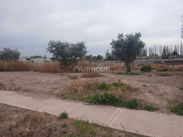 Lote en Venta en Maipu, Mendoza