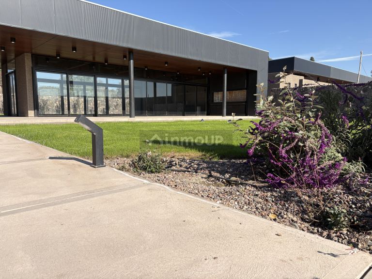 Lote en Venta en Lujan de Cuyo, Mendoza