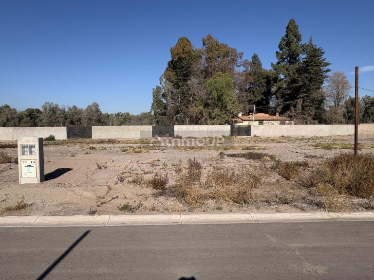 Lote en Venta en Lujan de Cuyo, Mendoza
