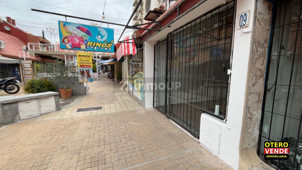 Local Comercial en Alquiler en Capital, Mendoza
