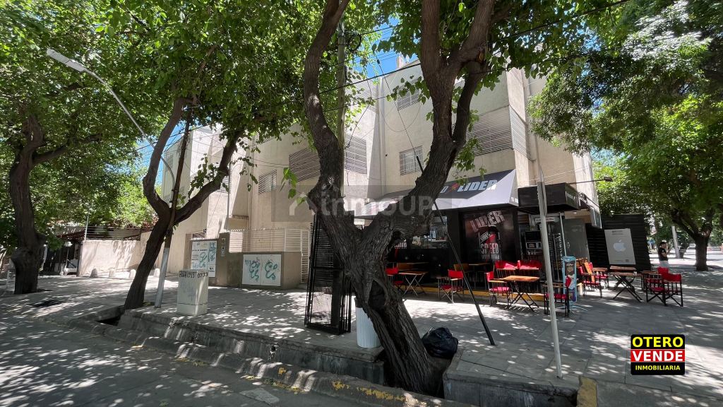 Departamento en Alquiler en Capital, Mendoza