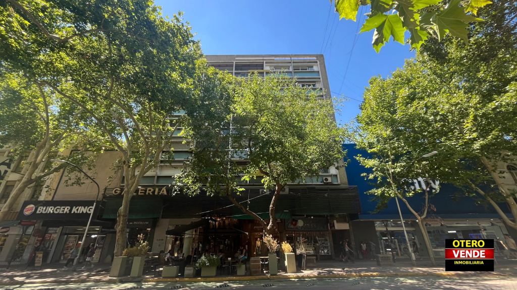 AV. SAN MARTIN  1.351 