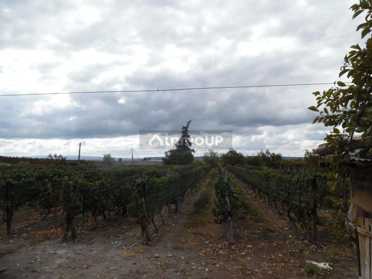 Finca en Venta en Tupungato, Mendoza