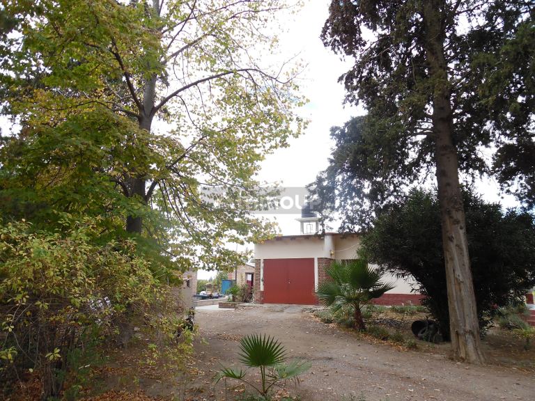Finca en Venta en Tupungato, Mendoza