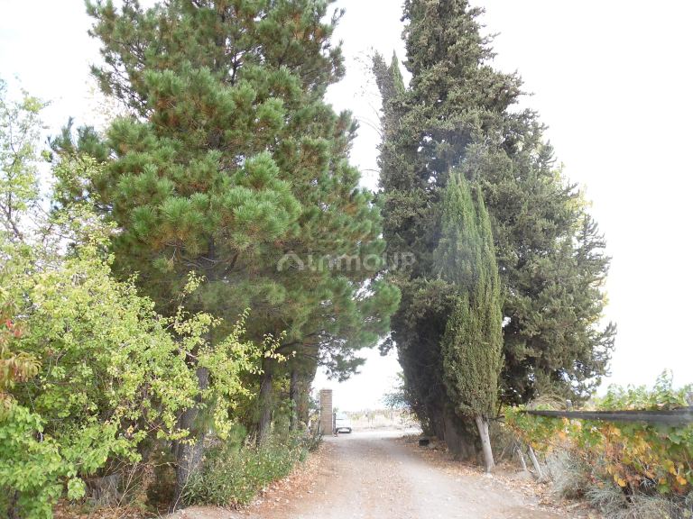 Finca en Venta en Tupungato, Mendoza