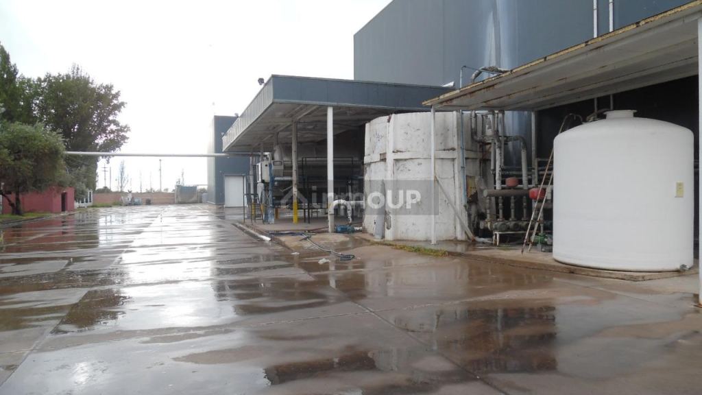 Bodega en Venta en Junin, Mendoza