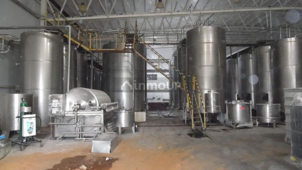 Bodega en Venta en Junin, Mendoza